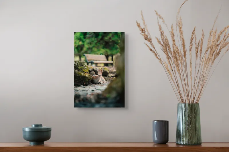 Tablou Canvas, "Caprioara odihnindu-se în pădurea liniștită", Deer, Nature, Resting, Tranquil, Forest, Bench, Mossy, Stones, Serene, 26 x 39 cm – poza 5