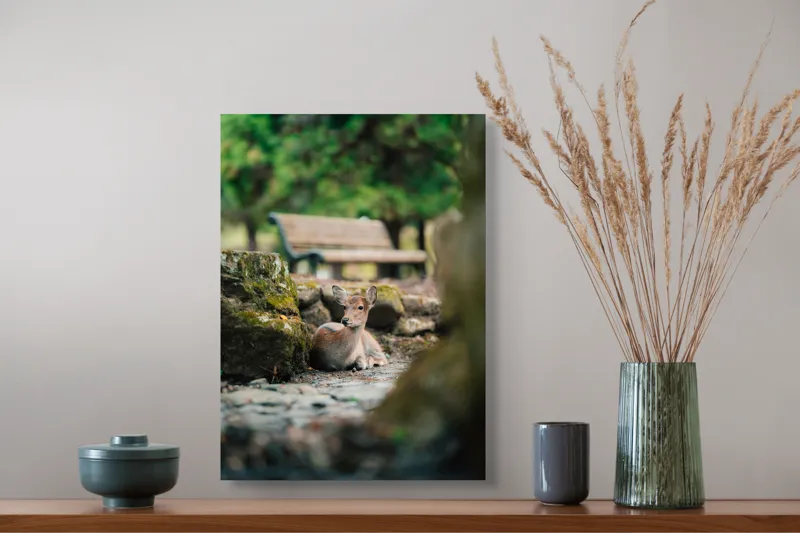Tablou Canvas, "Caprioara odihnindu-se în pădurea liniștită", Deer, Nature, Resting, Tranquil, Forest, Bench, Mossy, Stones, Serene, 39 x 54 cm – poza 3