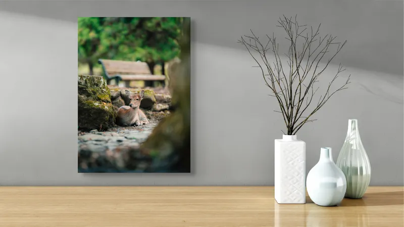 Tablou Canvas, "Caprioara odihnindu-se în pădurea liniștită", Deer, Nature, Resting, Tranquil, Forest, Bench, Mossy, Stones, Serene, 39 x 54 cm – poza 4