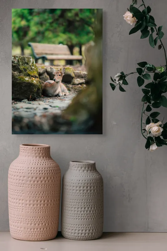Tablou Canvas, "Caprioara odihnindu-se în pădurea liniștită", Deer, Nature, Resting, Tranquil, Forest, Bench, Mossy, Stones, Serene, 39 x 54 cm – poza 6