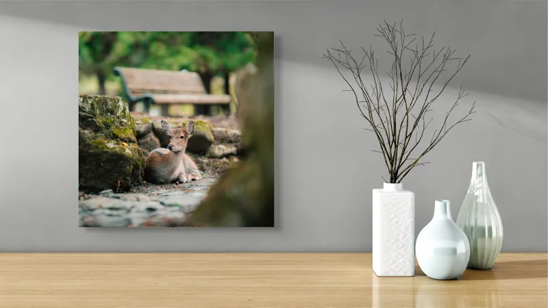 Tablou Canvas, "Caprioara odihnindu-se în pădurea liniștită", Deer, Nature, Resting, Tranquil, Forest, Bench, Mossy, Stones, Serene, 50 x 50 cm – poza 3