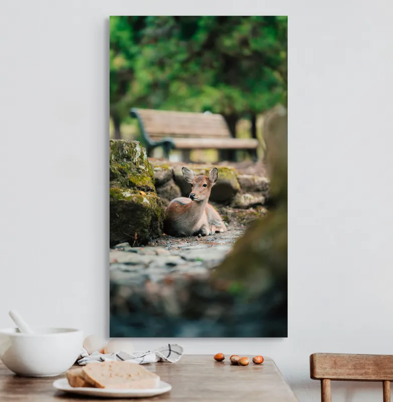 Tablou Canvas, "Caprioara odihnindu-se în pădurea liniștită", Deer, Nature, Resting, Tranquil, Forest, Bench, Mossy, Stones, Serene, 50 x 90 cm – poza 3