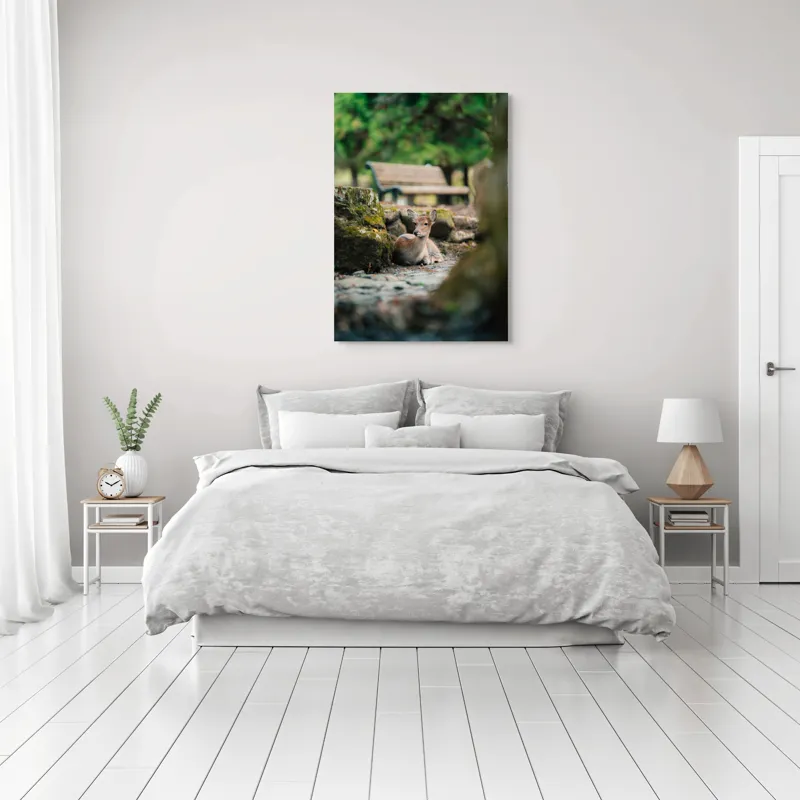 Tablou Canvas, "Caprioara odihnindu-se în pădurea liniștită", Deer, Nature, Resting, Tranquil, Forest, Bench, Mossy, Stones, Serene, 70 x 100 cm – poza 3