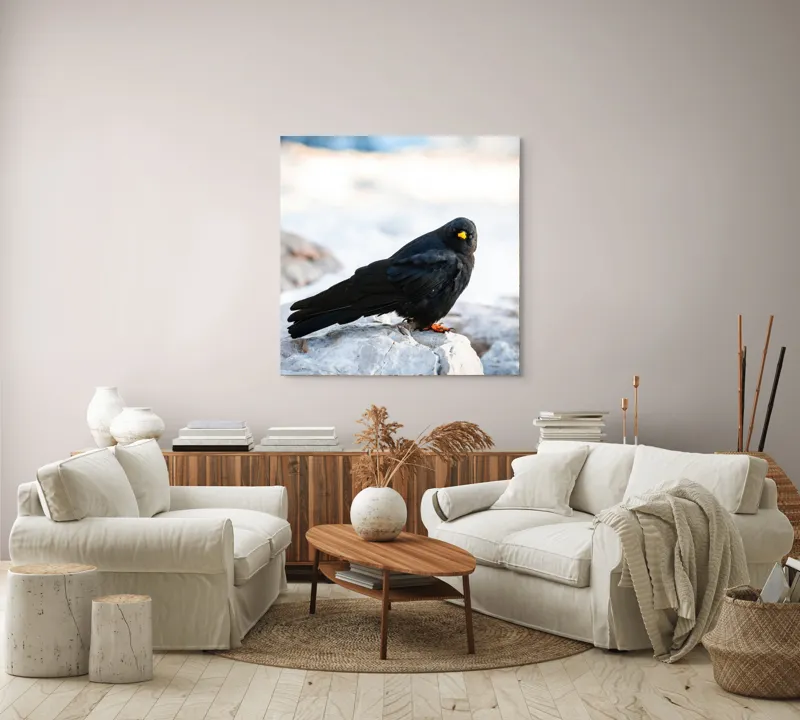 Tablou Canvas, "Pasărea neagră pe stânca albă", Panorama, Pene, Privire, Stâncă, Fundal, Natural, Seren, Peisaj, Contrast, Libertate., 100 x 100 cm – poza 3