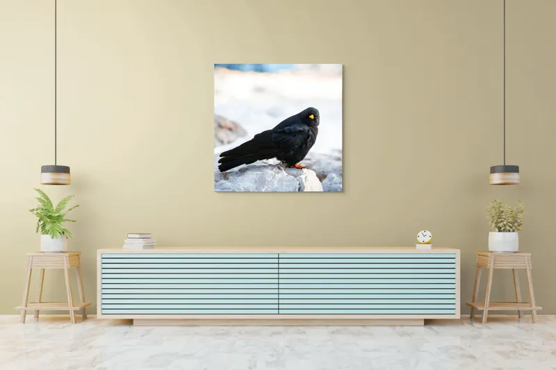 Tablou Canvas, "Pasărea neagră pe stânca albă", Panorama, Pene, Privire, Stâncă, Fundal, Natural, Seren, Peisaj, Contrast, Libertate., 100 x 100 cm – poza 5