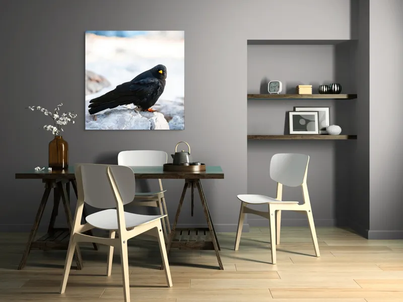 Tablou Canvas, "Pasărea neagră pe stânca albă", Panorama, Pene, Privire, Stâncă, Fundal, Natural, Seren, Peisaj, Contrast, Libertate., 100 x 100 cm – poza 6