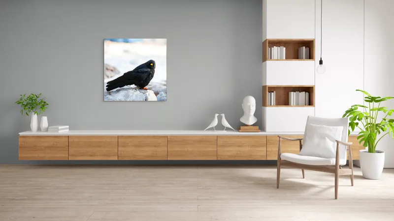 Tablou Canvas, "Pasărea neagră pe stânca albă", Panorama, Pene, Privire, Stâncă, Fundal, Natural, Seren, Peisaj, Contrast, Libertate., 100 x 100 cm – poza 8
