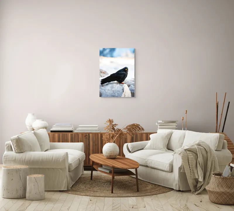 Tablou Canvas, "Pasărea neagră pe stânca albă", Panorama, Pene, Privire, Stâncă, Fundal, Natural, Seren, Peisaj, Contrast, Libertate., 50 x 70 cm – poza 4