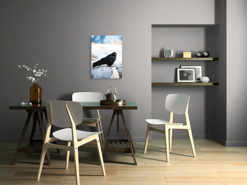 Tablou Canvas, "Pasărea neagră pe stânca albă", Panorama, Pene, Privire, Stâncă, Fundal, Natural, Seren, Peisaj, Contrast, Libertate., 50 x 70 cm – poza 5