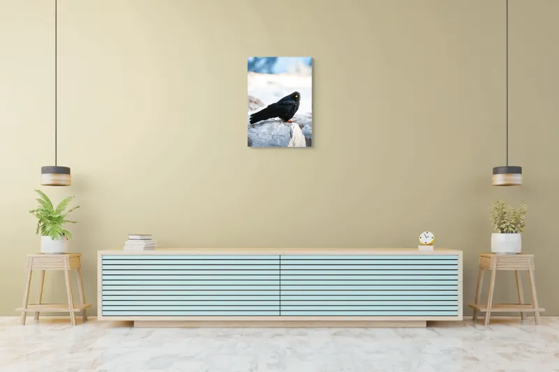 Tablou Canvas, "Pasărea neagră pe stânca albă", Panorama, Pene, Privire, Stâncă, Fundal, Natural, Seren, Peisaj, Contrast, Libertate., 50 x 70 cm – poza 6