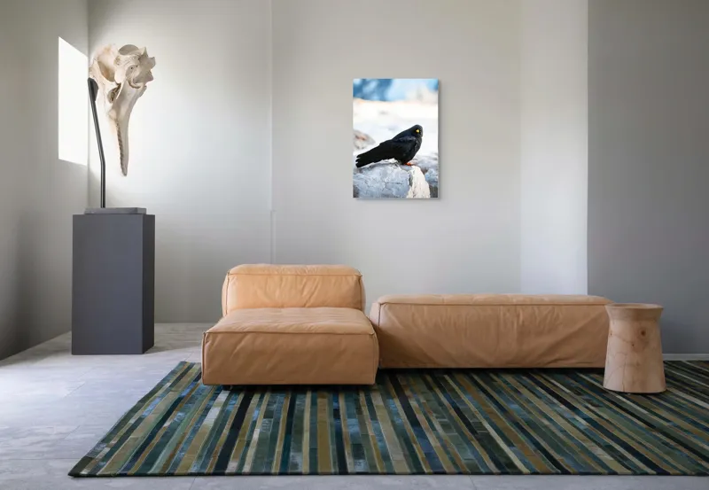 Tablou Canvas, "Pasărea neagră pe stânca albă", Panorama, Pene, Privire, Stâncă, Fundal, Natural, Seren, Peisaj, Contrast, Libertate., 50 x 70 cm – poza 7