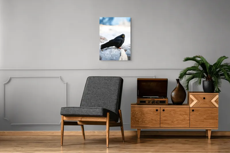 Tablou Canvas, "Pasărea neagră pe stânca albă", Panorama, Pene, Privire, Stâncă, Fundal, Natural, Seren, Peisaj, Contrast, Libertate., 50 x 70 cm – poza 8