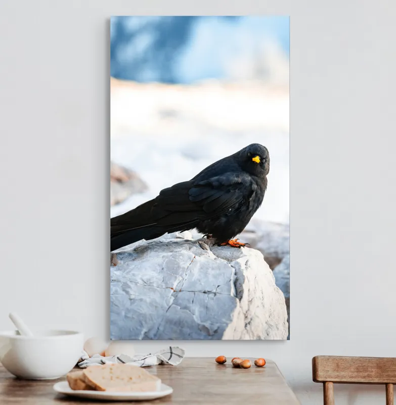 Tablou Canvas, "Pasărea neagră pe stânca albă", Panorama, Pene, Privire, Stâncă, Fundal, Natural, Seren, Peisaj, Contrast, Libertate., 50 x 90 cm – poza 3