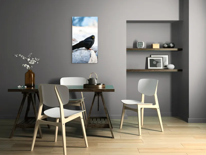 Tablou Canvas, "Pasărea neagră pe stânca albă", Panorama, Pene, Privire, Stâncă, Fundal, Natural, Seren, Peisaj, Contrast, Libertate., 50 x 90 cm – poza 4