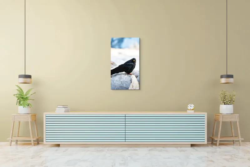 Tablou Canvas, "Pasărea neagră pe stânca albă", Panorama, Pene, Privire, Stâncă, Fundal, Natural, Seren, Peisaj, Contrast, Libertate., 50 x 90 cm – poza 6
