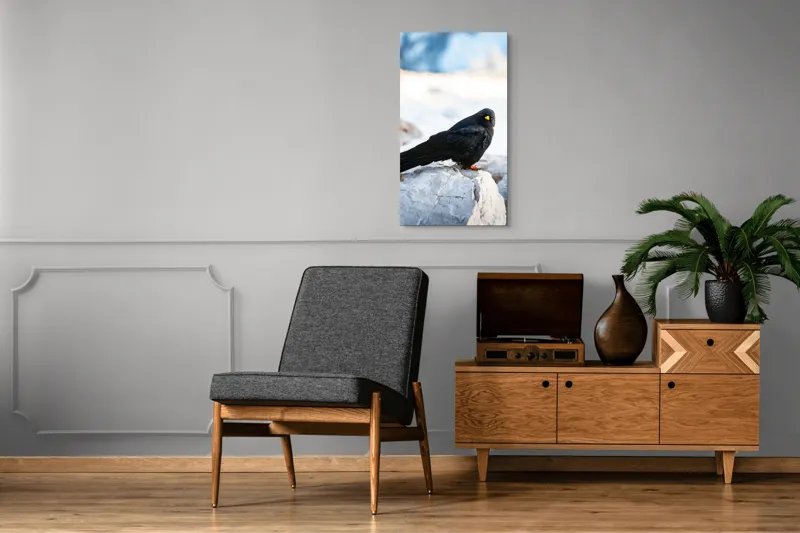 Tablou Canvas, "Pasărea neagră pe stânca albă", Panorama, Pene, Privire, Stâncă, Fundal, Natural, Seren, Peisaj, Contrast, Libertate., 50 x 90 cm – poza 8