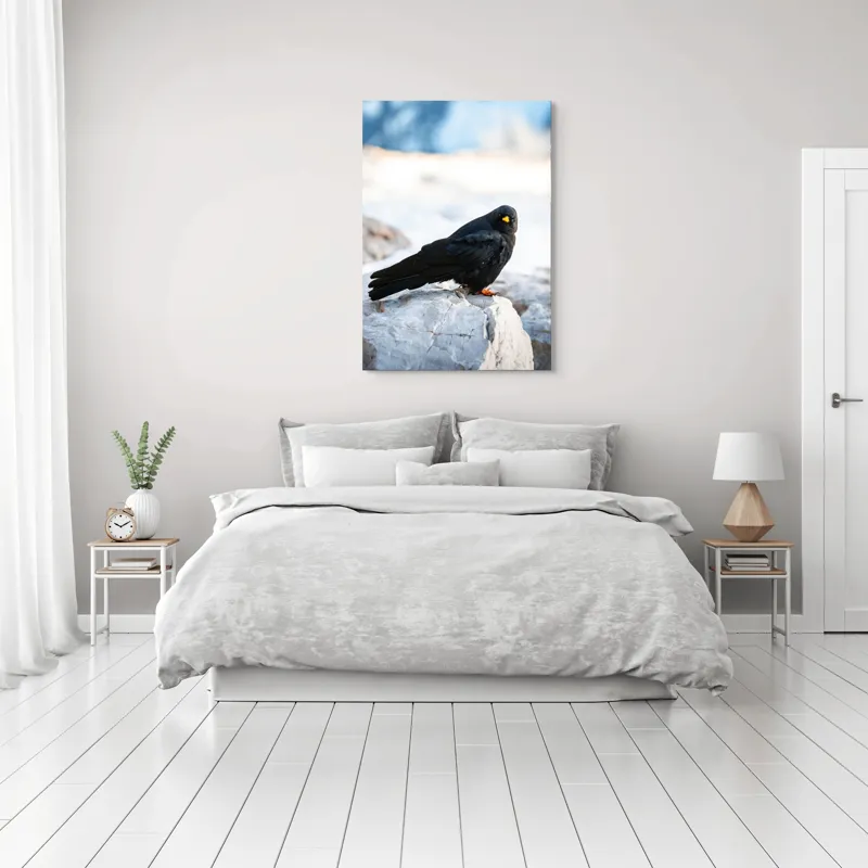 Tablou Canvas, "Pasărea neagră pe stânca albă", Panorama, Pene, Privire, Stâncă, Fundal, Natural, Seren, Peisaj, Contrast, Libertate., 70 x 100 cm – poza 3