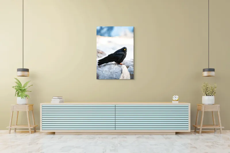 Tablou Canvas, "Pasărea neagră pe stânca albă", Panorama, Pene, Privire, Stâncă, Fundal, Natural, Seren, Peisaj, Contrast, Libertate., 70 x 100 cm – poza 5
