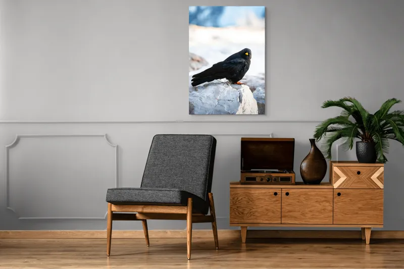 Tablou Canvas, "Pasărea neagră pe stânca albă", Panorama, Pene, Privire, Stâncă, Fundal, Natural, Seren, Peisaj, Contrast, Libertate., 70 x 100 cm – poza 6