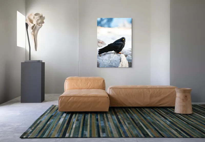 Tablou Canvas, "Pasărea neagră pe stânca albă", Panorama, Pene, Privire, Stâncă, Fundal, Natural, Seren, Peisaj, Contrast, Libertate., 70 x 100 cm – poza 7