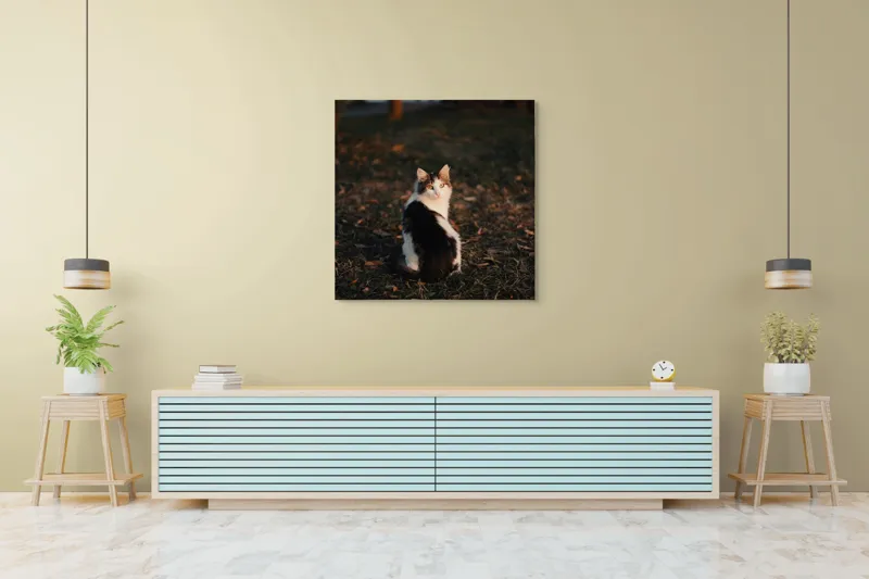 Tablou Canvas, "Pisică în lumina apusului de soare", Pisică, Blană, Toamnă, Apus, Frunze, Natură, Privire, Relaxare, 100 x 100 cm – poza 5