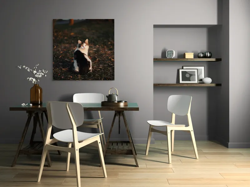 Tablou Canvas, "Pisică în lumina apusului de soare", Pisică, Blană, Toamnă, Apus, Frunze, Natură, Privire, Relaxare, 100 x 100 cm – poza 6