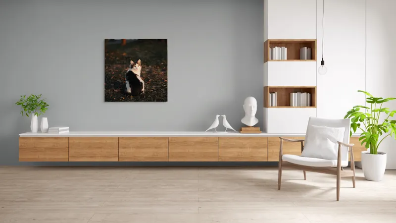 Tablou Canvas, "Pisică în lumina apusului de soare", Pisică, Blană, Toamnă, Apus, Frunze, Natură, Privire, Relaxare, 100 x 100 cm – poza 8