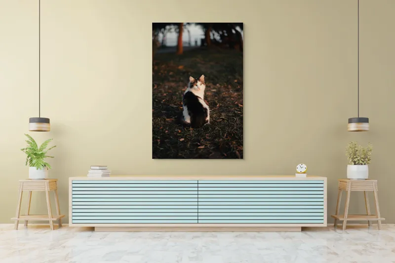 Tablou Canvas, "Pisică în lumina apusului de soare", Pisică, Blană, Toamnă, Apus, Frunze, Natură, Privire, Relaxare, 100 x 150 cm – poza 4