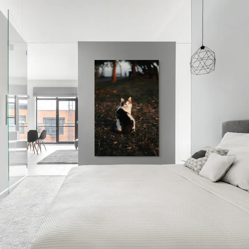 Tablou Canvas, "Pisică în lumina apusului de soare", Pisică, Blană, Toamnă, Apus, Frunze, Natură, Privire, Relaxare, 100 x 150 cm – poza 5