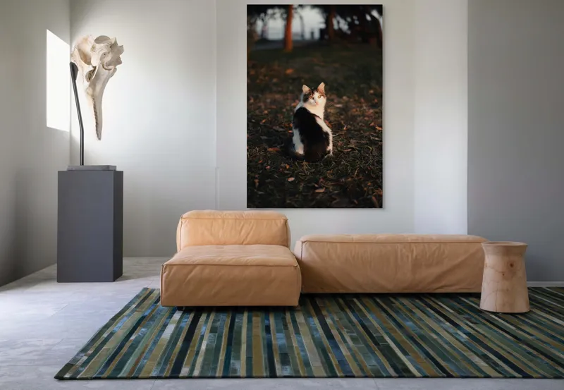 Tablou Canvas, "Pisică în lumina apusului de soare", Pisică, Blană, Toamnă, Apus, Frunze, Natură, Privire, Relaxare, 100 x 150 cm – poza 7