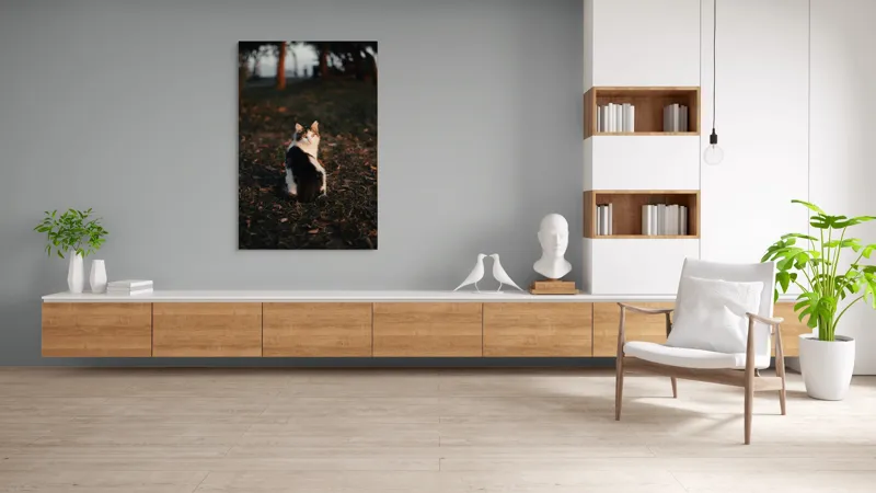 Tablou Canvas, "Pisică în lumina apusului de soare", Pisică, Blană, Toamnă, Apus, Frunze, Natură, Privire, Relaxare, 100 x 150 cm – poza 8