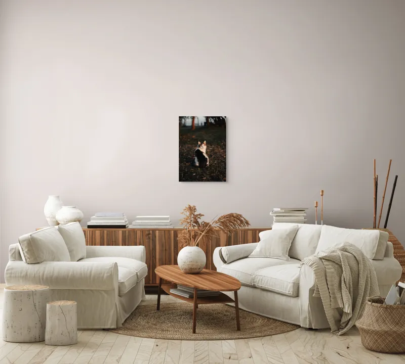 Tablou Canvas, "Pisică în lumina apusului de soare", Pisică, Blană, Toamnă, Apus, Frunze, Natură, Privire, Relaxare, 39 x 54 cm – poza 5