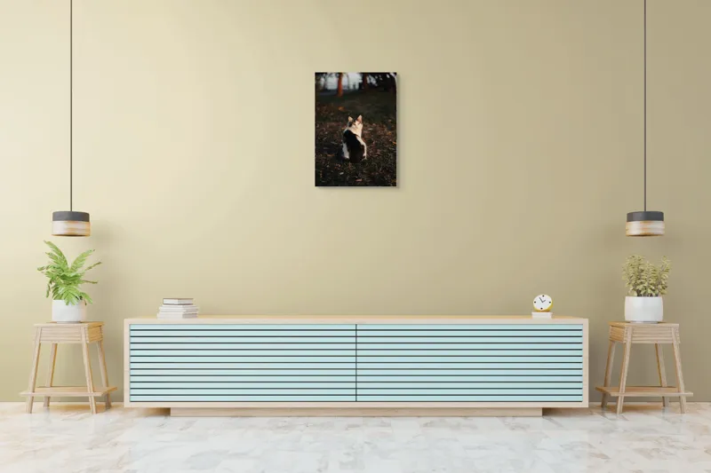 Tablou Canvas, "Pisică în lumina apusului de soare", Pisică, Blană, Toamnă, Apus, Frunze, Natură, Privire, Relaxare, 50 x 70 cm – poza 6