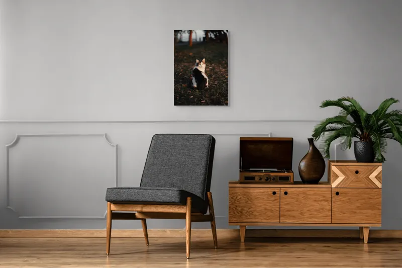 Tablou Canvas, "Pisică în lumina apusului de soare", Pisică, Blană, Toamnă, Apus, Frunze, Natură, Privire, Relaxare, 50 x 70 cm – poza 8