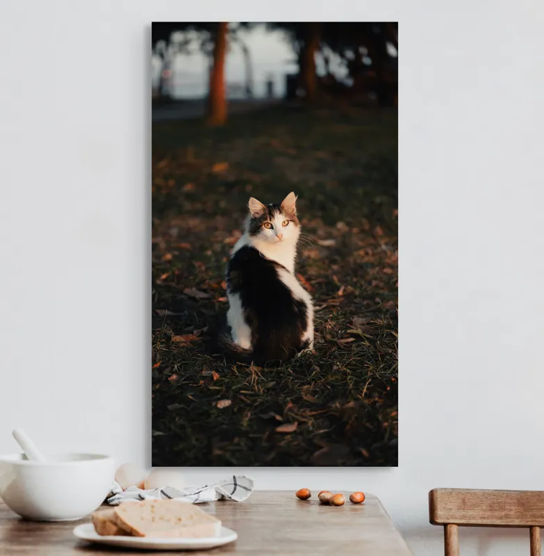 Tablou Canvas, "Pisică în lumina apusului de soare", Pisică, Blană, Toamnă, Apus, Frunze, Natură, Privire, Relaxare, 50 x 90 cm – poza 3