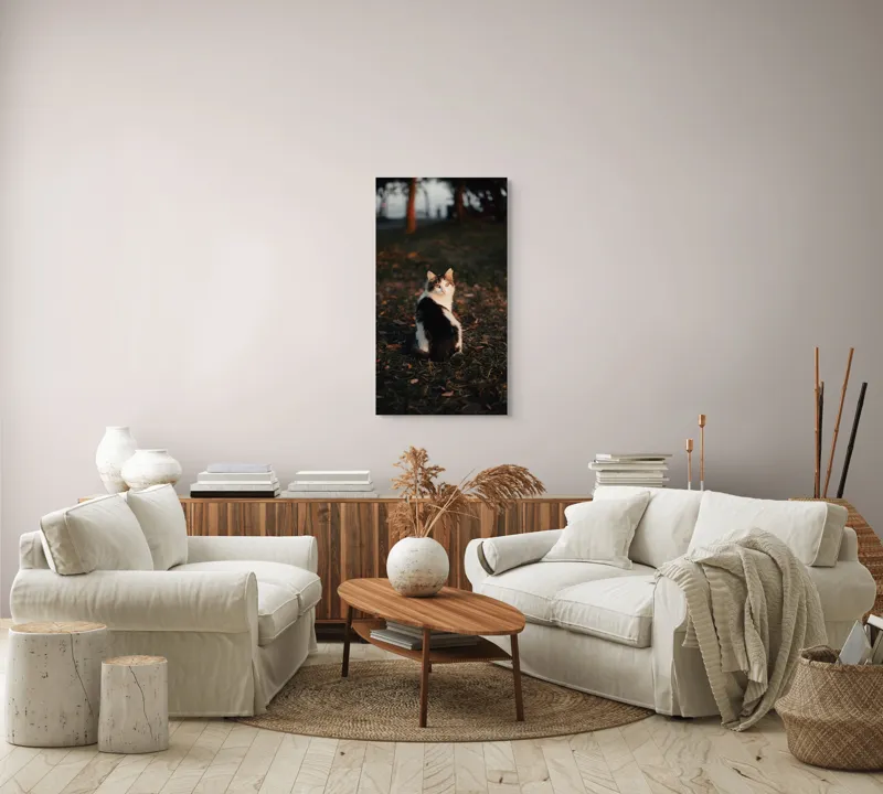 Tablou Canvas, "Pisică în lumina apusului de soare", Pisică, Blană, Toamnă, Apus, Frunze, Natură, Privire, Relaxare, 50 x 90 cm – poza 7