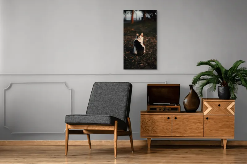Tablou Canvas, "Pisică în lumina apusului de soare", Pisică, Blană, Toamnă, Apus, Frunze, Natură, Privire, Relaxare, 50 x 90 cm – poza 8