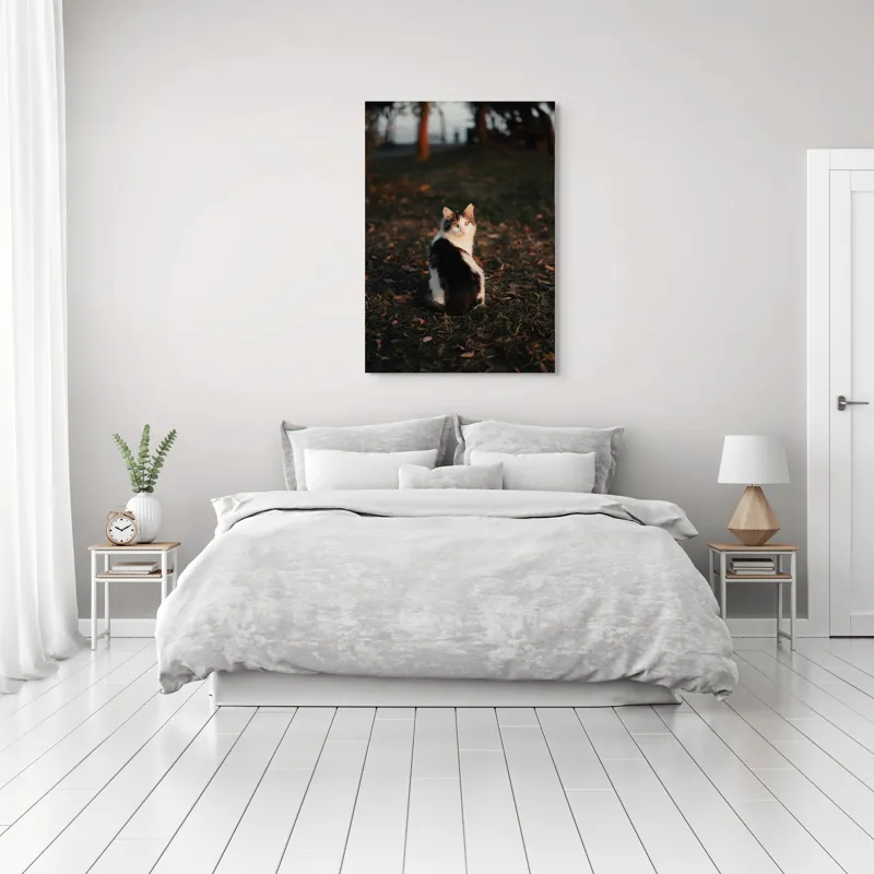 Tablou Canvas, "Pisică în lumina apusului de soare", Pisică, Blană, Toamnă, Apus, Frunze, Natură, Privire, Relaxare, 70 x 100 cm – poza 3