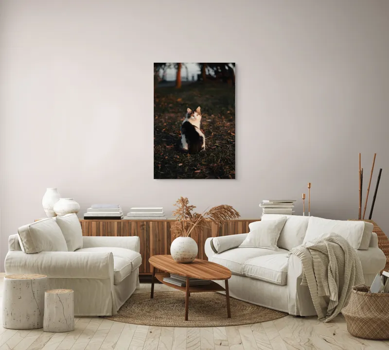 Tablou Canvas, "Pisică în lumina apusului de soare", Pisică, Blană, Toamnă, Apus, Frunze, Natură, Privire, Relaxare, 70 x 100 cm – poza 4