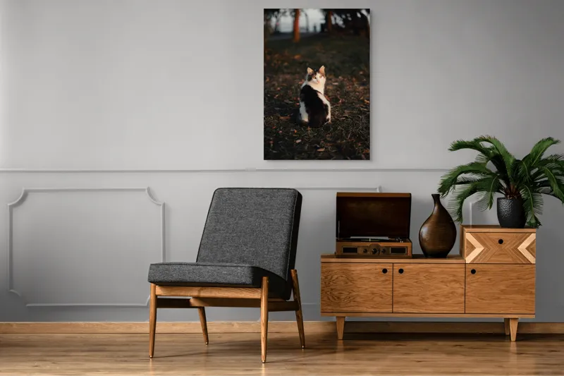 Tablou Canvas, "Pisică în lumina apusului de soare", Pisică, Blană, Toamnă, Apus, Frunze, Natură, Privire, Relaxare, 70 x 100 cm – poza 6