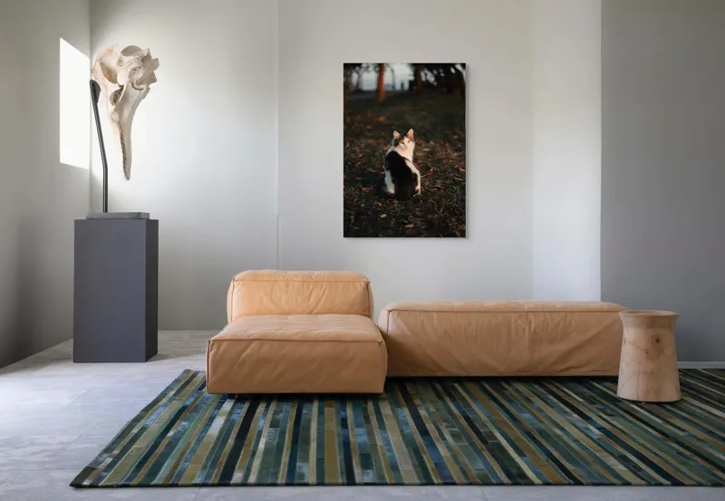 Tablou Canvas, "Pisică în lumina apusului de soare", Pisică, Blană, Toamnă, Apus, Frunze, Natură, Privire, Relaxare, 70 x 100 cm – poza 7
