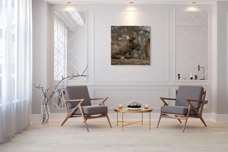 Tablou Canvas, "Elan odihnindu-se pe pământ tomnatic", Eu, Alce, Odihnitor, Crengi, Pământ, Copaci, Cer, Statornic., 100 x 100 cm – poza 7