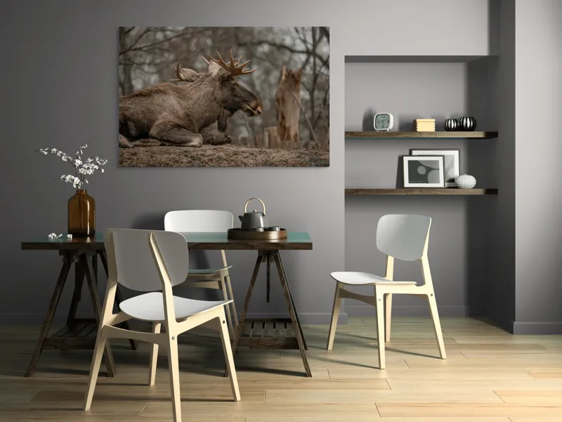 Tablou Canvas, "Elan odihnindu-se pe pământ tomnatic", Eu, Alce, Odihnitor, Crengi, Pământ, Copaci, Cer, Statornic., 150 x 100 cm – poza 5