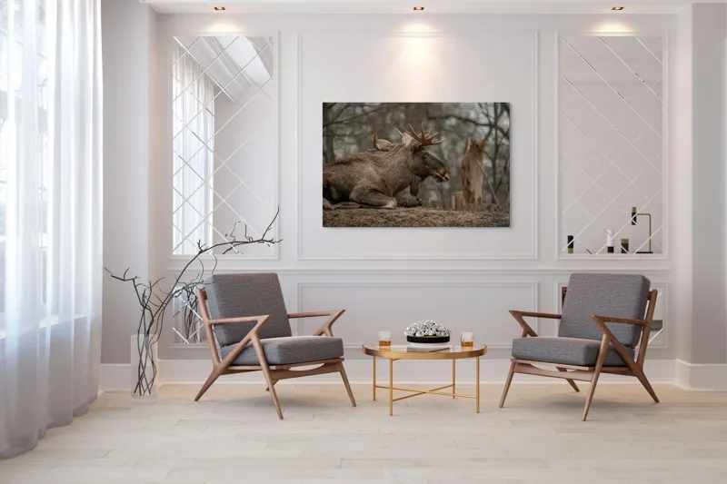 Tablou Canvas, "Elan odihnindu-se pe pământ tomnatic", Eu, Alce, Odihnitor, Crengi, Pământ, Copaci, Cer, Statornic., 150 x 100 cm – poza 7