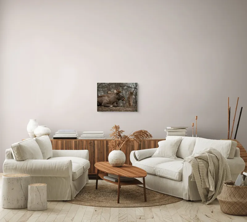 Tablou Canvas, "Elan odihnindu-se pe pământ tomnatic", Eu, Alce, Odihnitor, Crengi, Pământ, Copaci, Cer, Statornic., 54 x 39 cm – poza 5