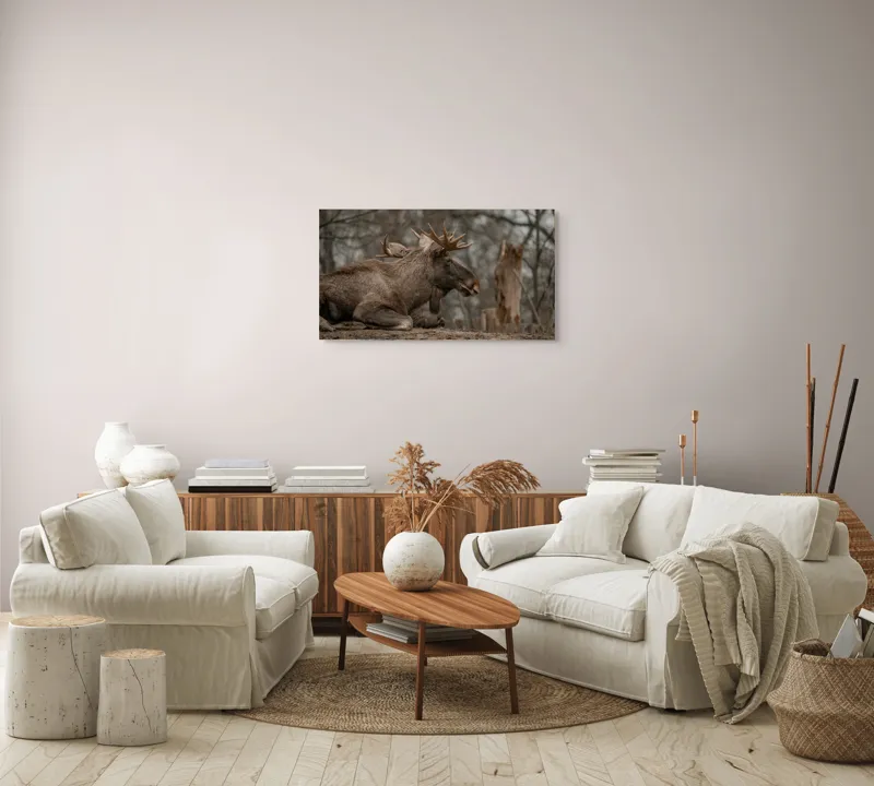 Tablou Canvas, "Elan odihnindu-se pe pământ tomnatic", Eu, Alce, Odihnitor, Crengi, Pământ, Copaci, Cer, Statornic., 90 x 50 cm – poza 4