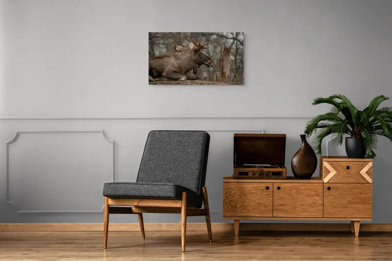 Tablou Canvas, "Elan odihnindu-se pe pământ tomnatic", Eu, Alce, Odihnitor, Crengi, Pământ, Copaci, Cer, Statornic., 90 x 50 cm – poza 6