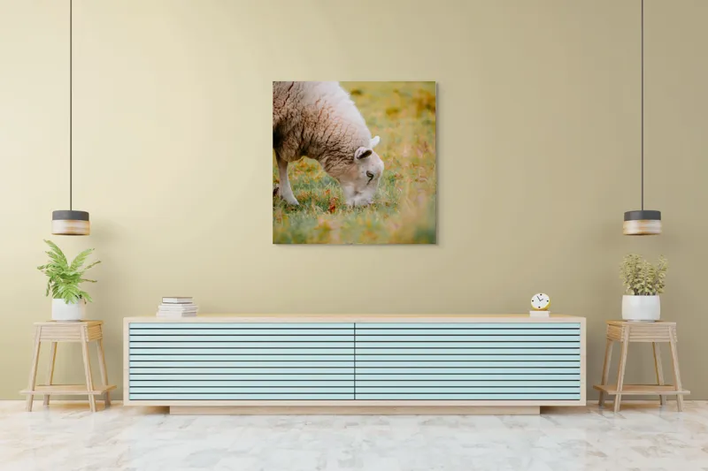Tablou Canvas, "Oaia paște în liniștea pășunii", Oi, Pajiște, Verde, Blană, Mâncat, Natură, Serenitate, Liniște, Peisaj, Idilică, 100 x 100 cm – poza 5
