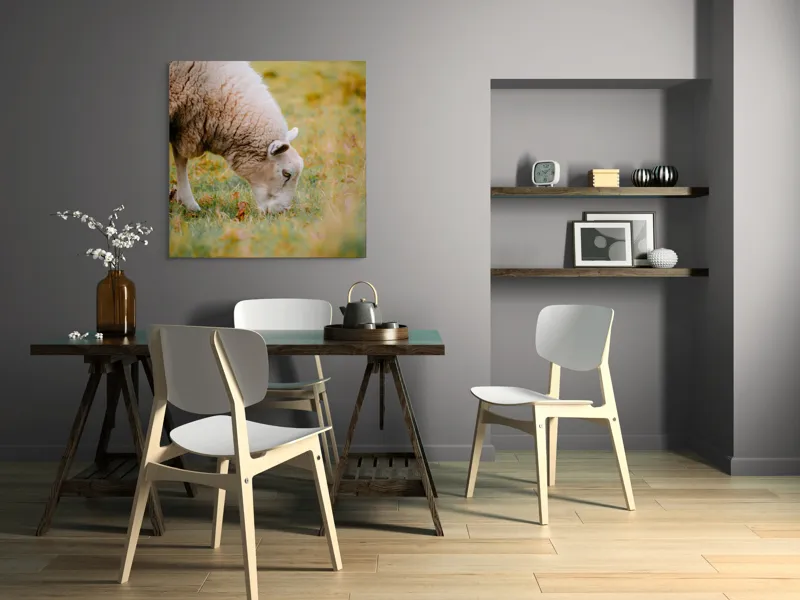 Tablou Canvas, "Oaia paște în liniștea pășunii", Oi, Pajiște, Verde, Blană, Mâncat, Natură, Serenitate, Liniște, Peisaj, Idilică, 100 x 100 cm – poza 6