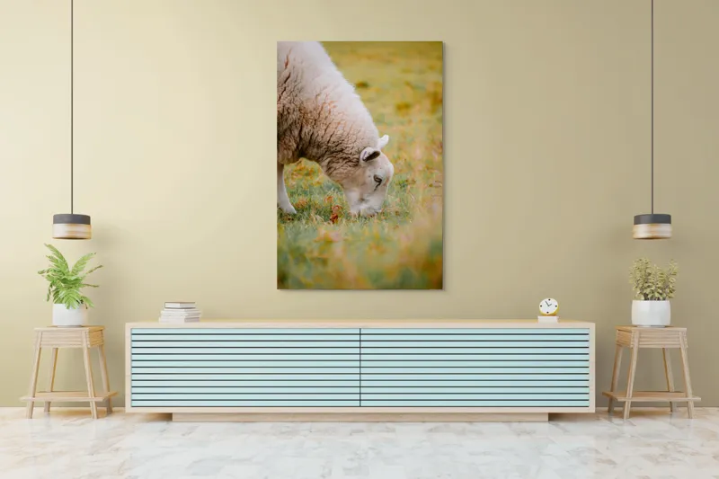 Tablou Canvas, "Oaia paște în liniștea pășunii", Oi, Pajiște, Verde, Blană, Mâncat, Natură, Serenitate, Liniște, Peisaj, Idilică, 100 x 150 cm – poza 4